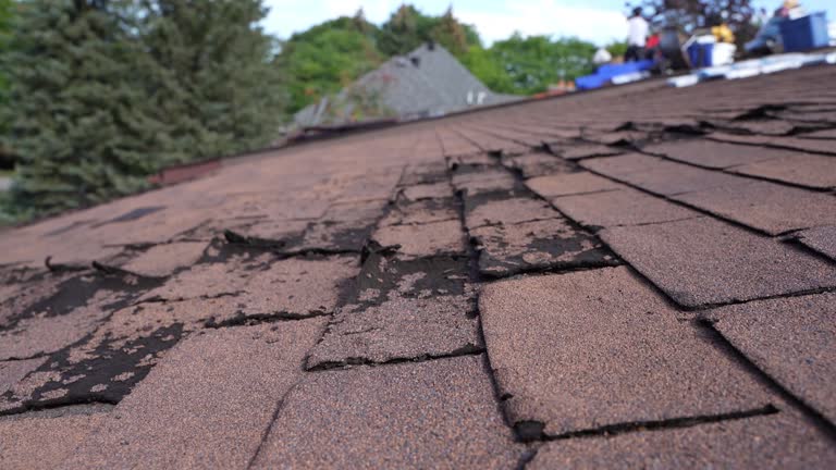 Best Flat Roofing  in Tton, IL