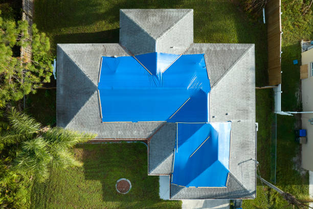 Best Roof Waterproofing  in Tton, IL