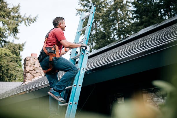 Best Sheet Metal Roofing  in Tton, IL