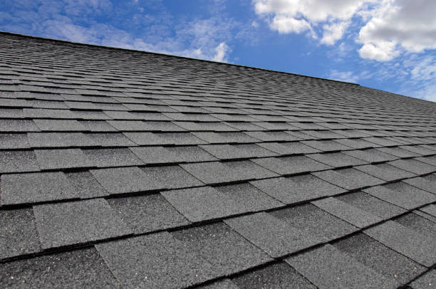 Best Asphalt Shingles Roofing  in Tton, IL